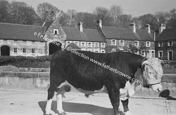 HEADFORD HOUSE  THE FARM YARD